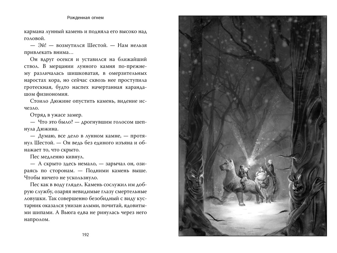 Рожденная огнем. Книга 1. Дюжина и Ледяной лес, Отрывок из книги
