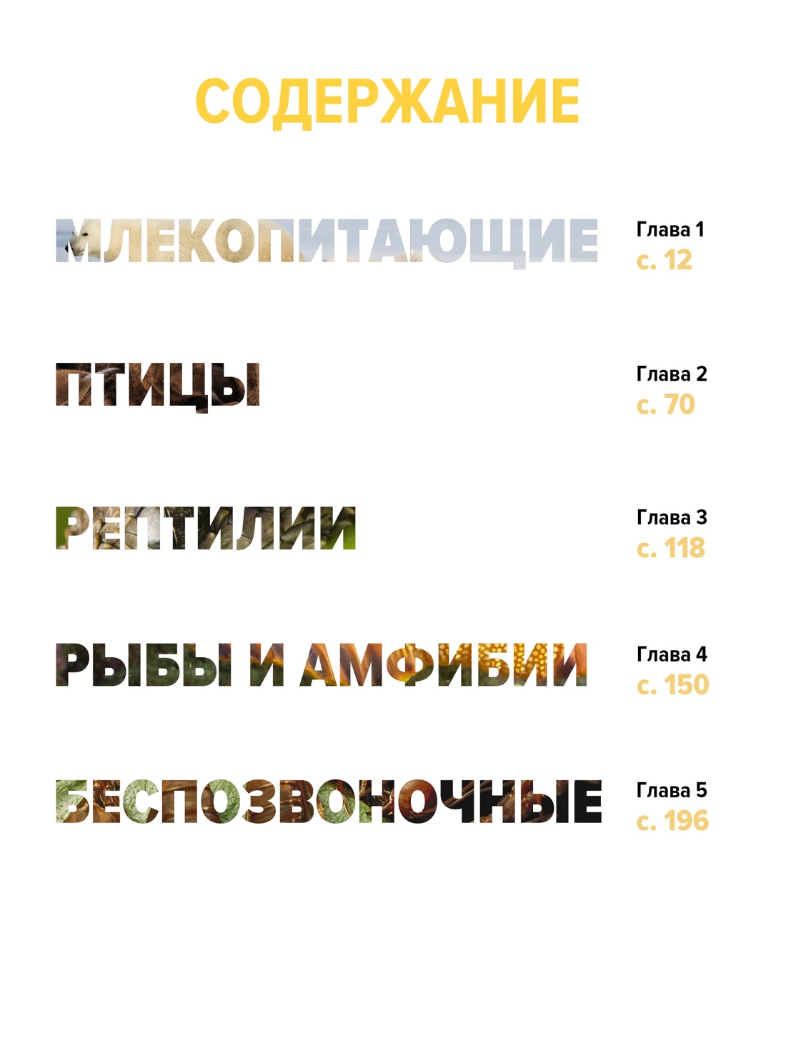 Тайны животных. Большая иллюстраированная энциклопедия, Клаудио Бертонатти