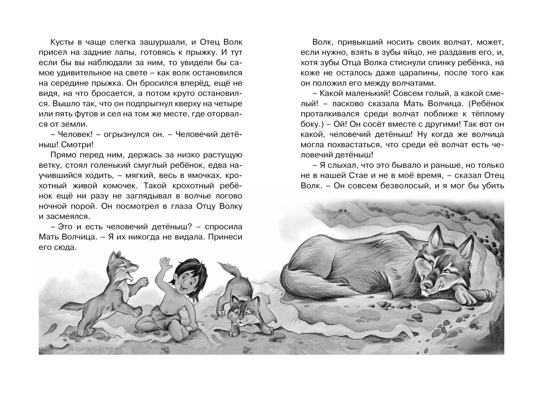 Маугли (илл. Нина Дарузес и др.), Отрывок из книги