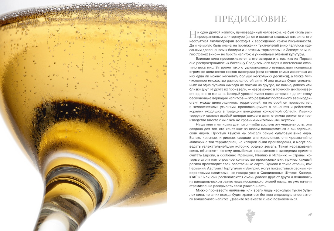 Маленькая книга гурмана. Вино, Отрывок из книги