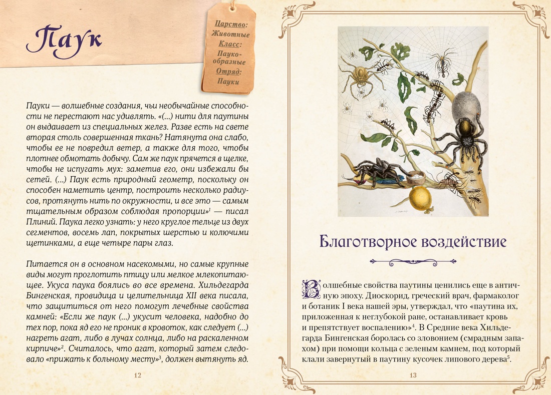 Магические животные. Легенды и суеверия, Отрывок из книги