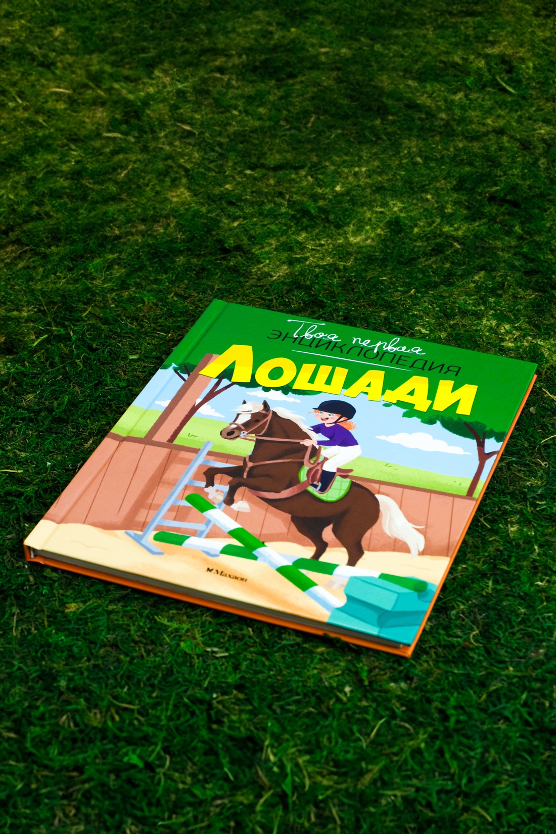 Лошади, Отрывок из книги