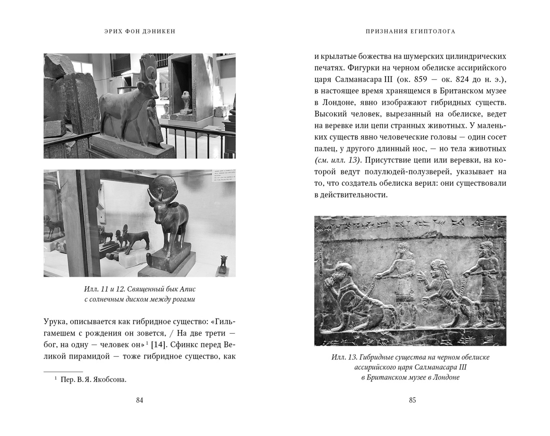 Признания египтолога. Утраченные библиотеки, исчезнувшие лабиринты и неожиданная правда под сводами пирамид в Саккаре, Отрывок из книги