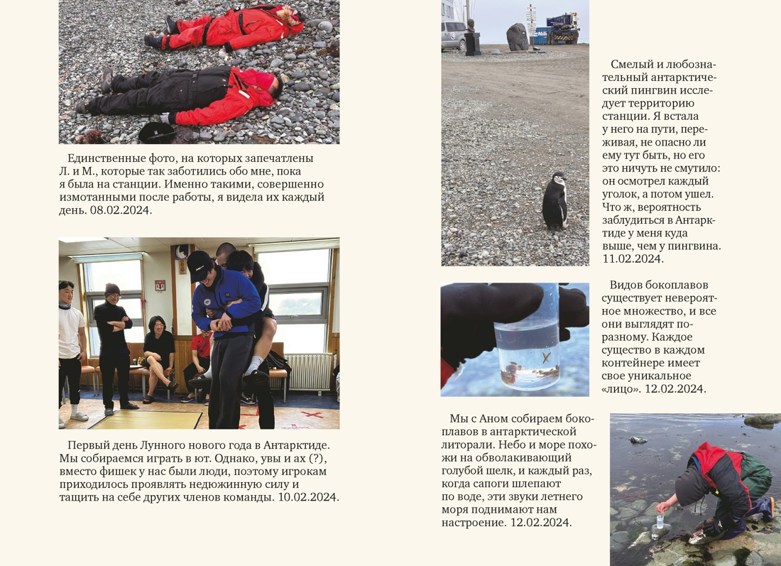 Мой полярный дневник, Отрывок из книги