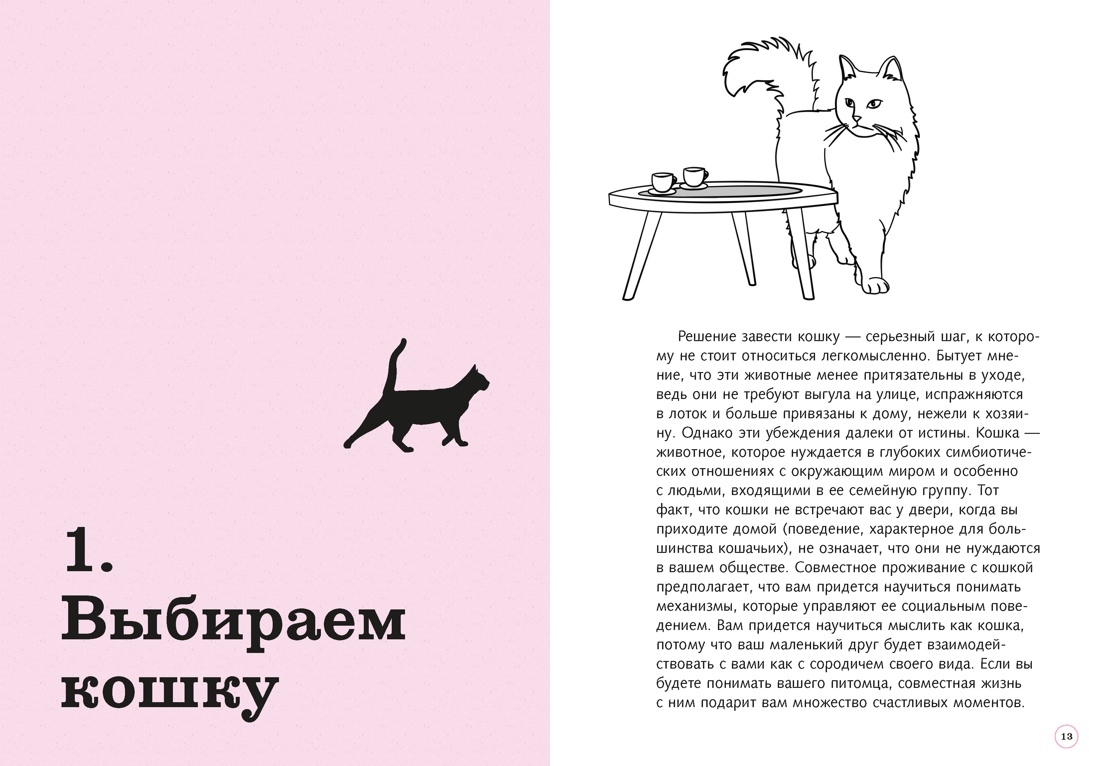 Гладить! Кормить! Любить! Замурчательное пособие по счастливой жизни с кошкой, Отрывок из книги