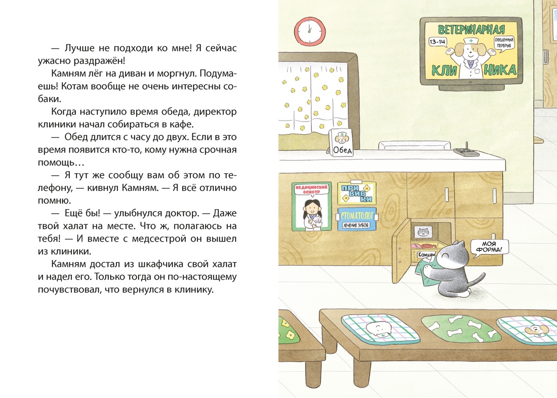 Доктор Камням, Отрывок из книги