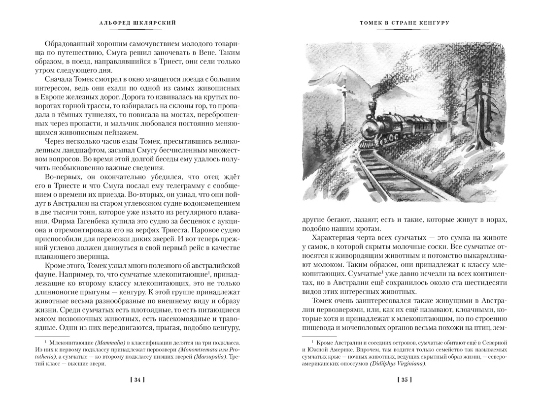 Томек в стране кенгуру и другие удивительные приключения, Отрывок из книги