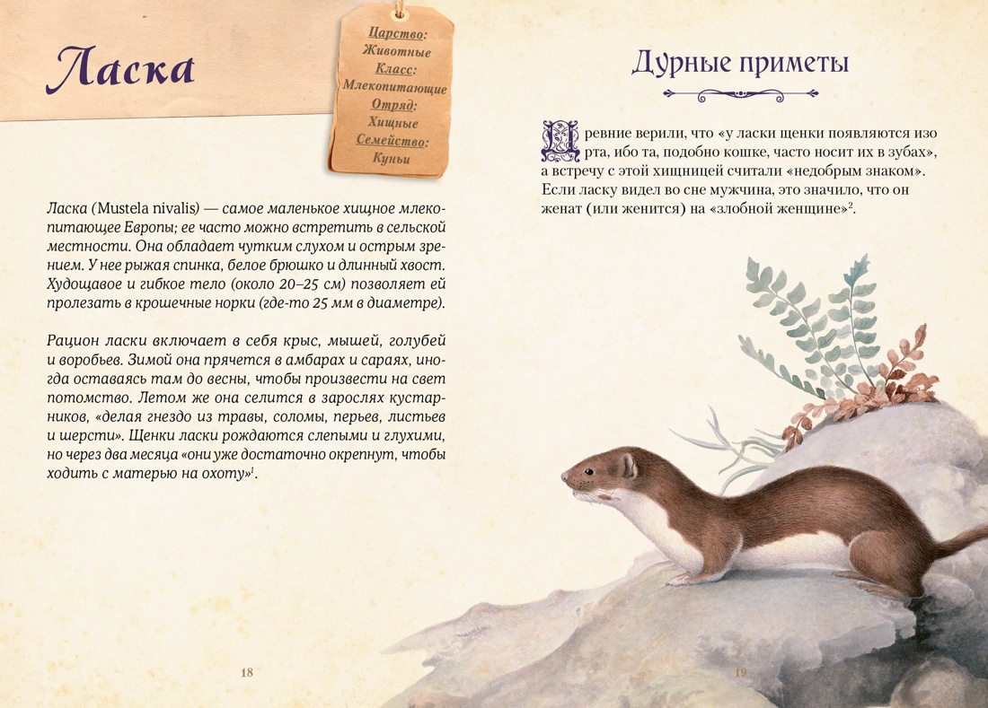Магические животные. Легенды и суеверия, Отрывок из книги