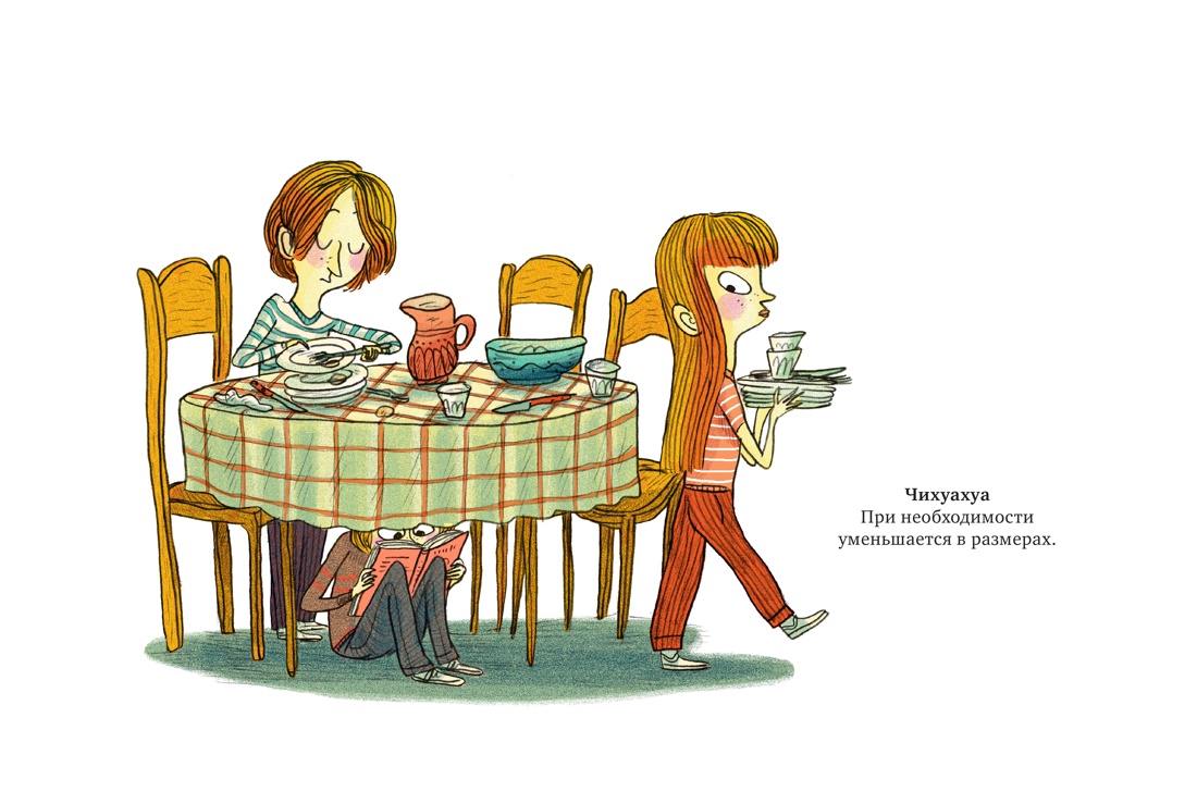 101 способ читать книги, Тимоте де Фомбель