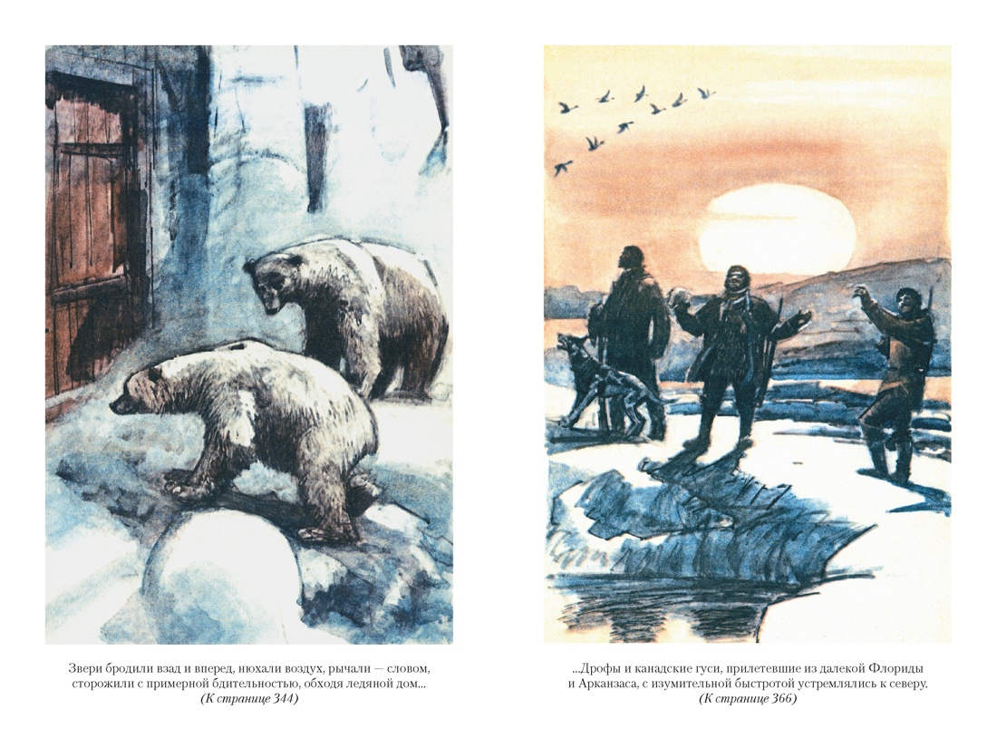 Путешествие и приключения капитана Гаттераса. Найденыш с погибшей «Цинтии», Отрывок из книги