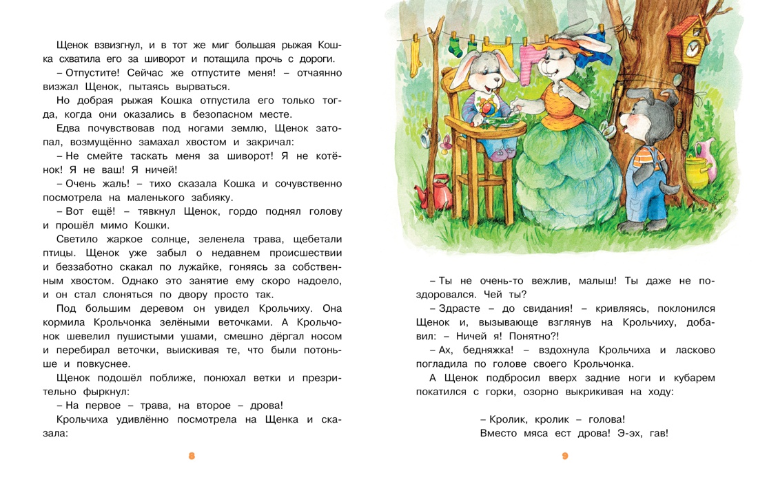 Кто самый красивый?, Отрывок из книги