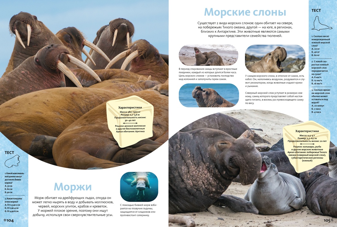 Животные морей и океанов. Большая школьная энциклопедия, Отрывок из книги