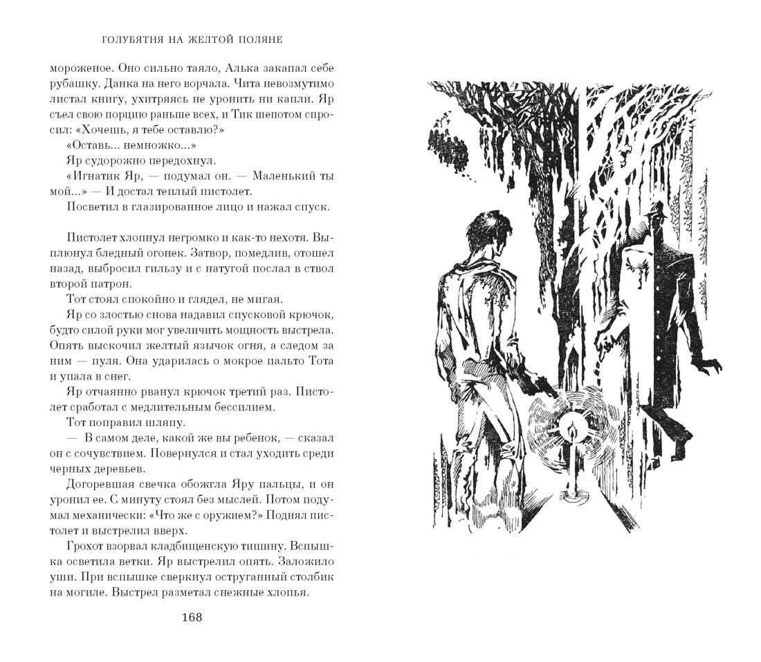 Голубятня на желтой поляне (с илл.), Отрывок из книги