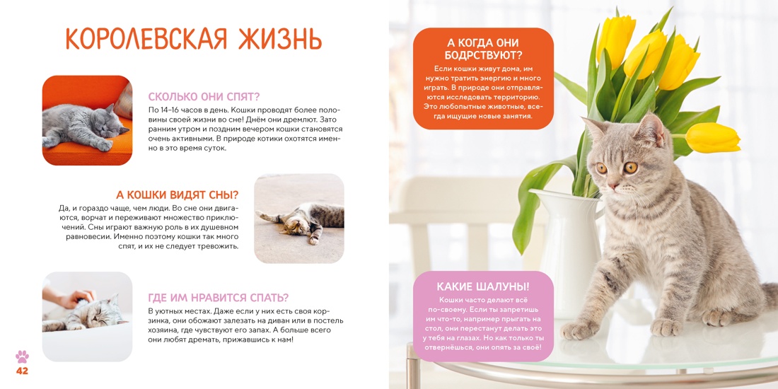 Моя первая книга о животных. 200 фотографий, Отрывок из книги