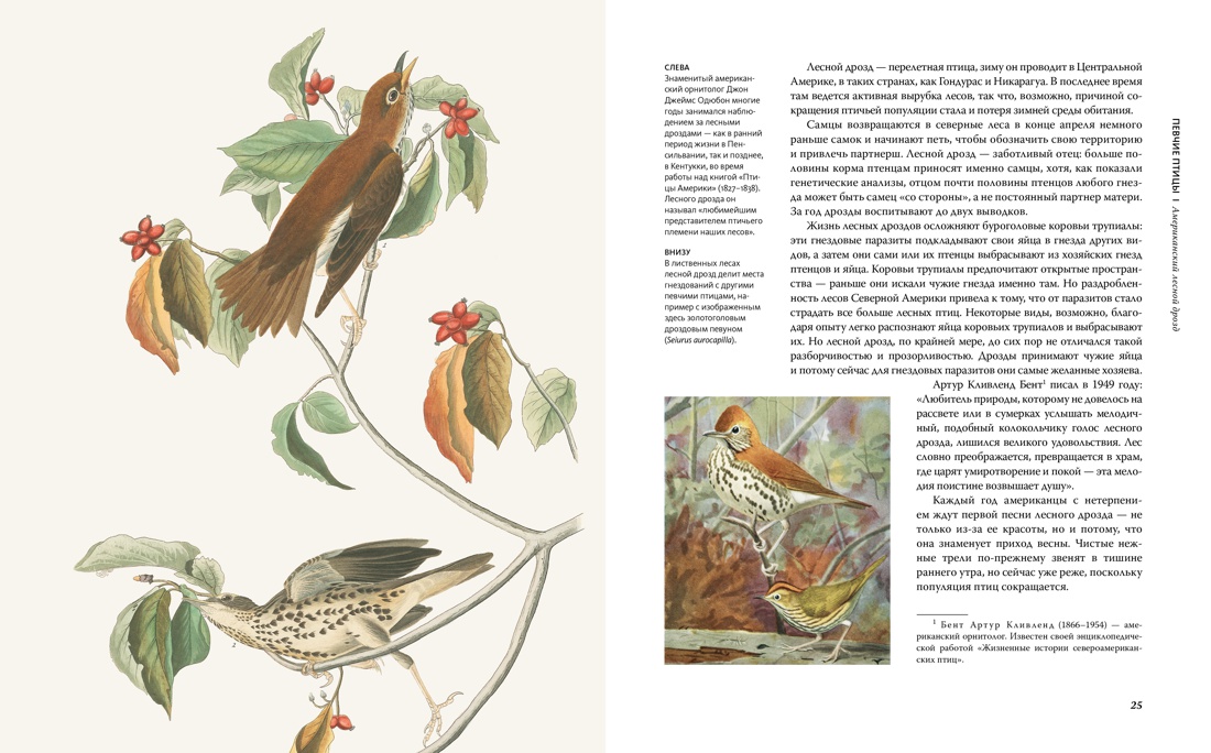 Восхитительные птицы, Отрывок из книги