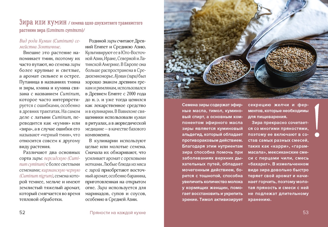 Праздник как по нотам. Специи и пряности., Отрывок из книги
