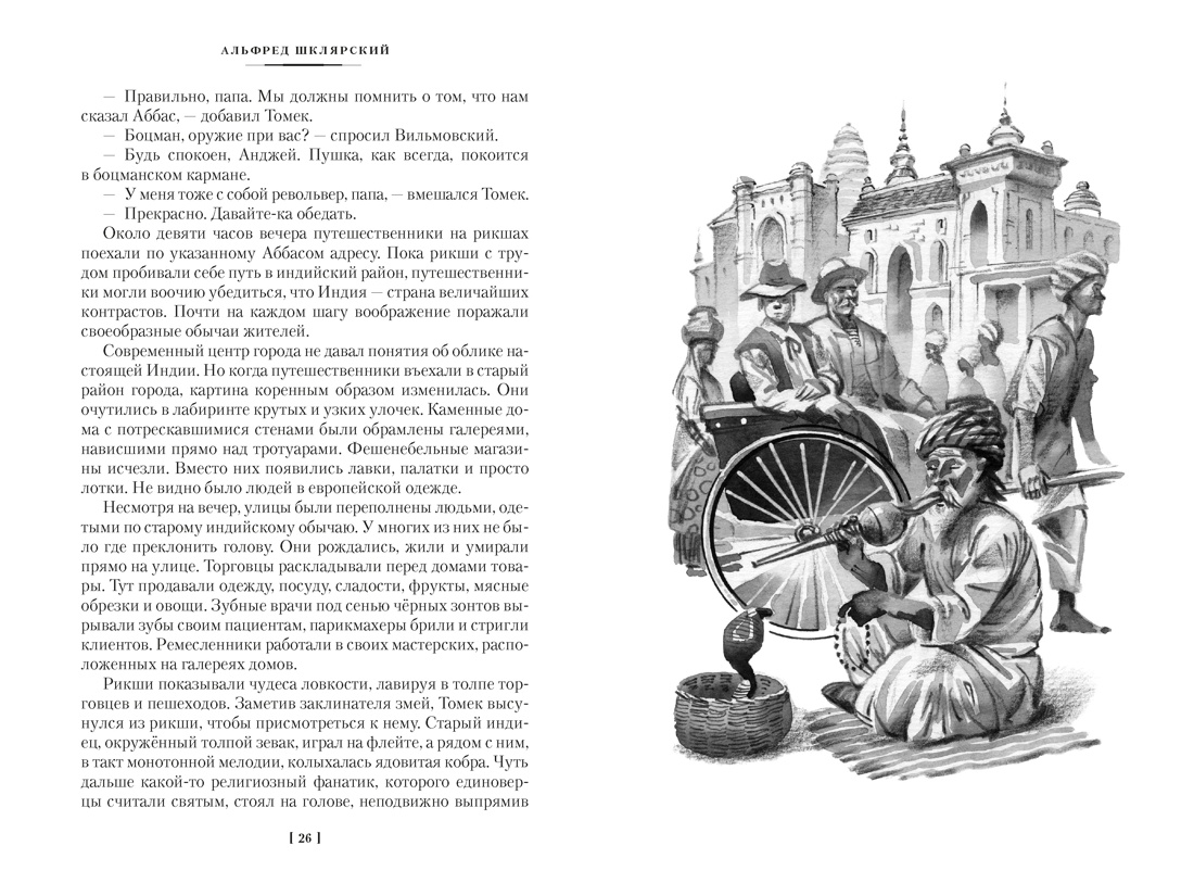 «Томек ищет снежного человека» и другие удивительные приключения, Отрывок из книги