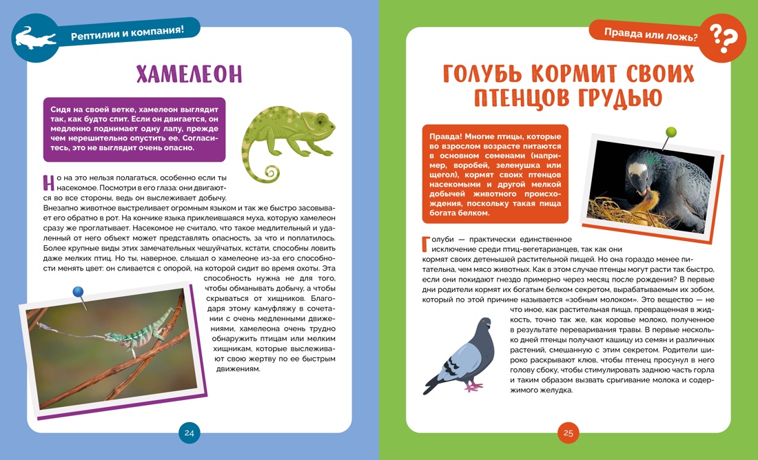 Невероятные животные, Отрывок из книги