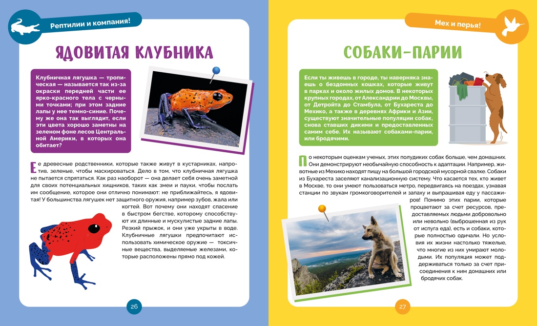 Невероятные животные, Отрывок из книги