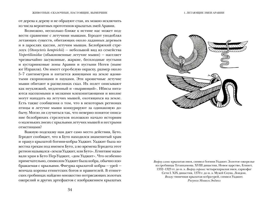 Когти грифона и летающие змеи: Древние мифы, исторические диковинки и научные курьезы, Отрывок из книги
