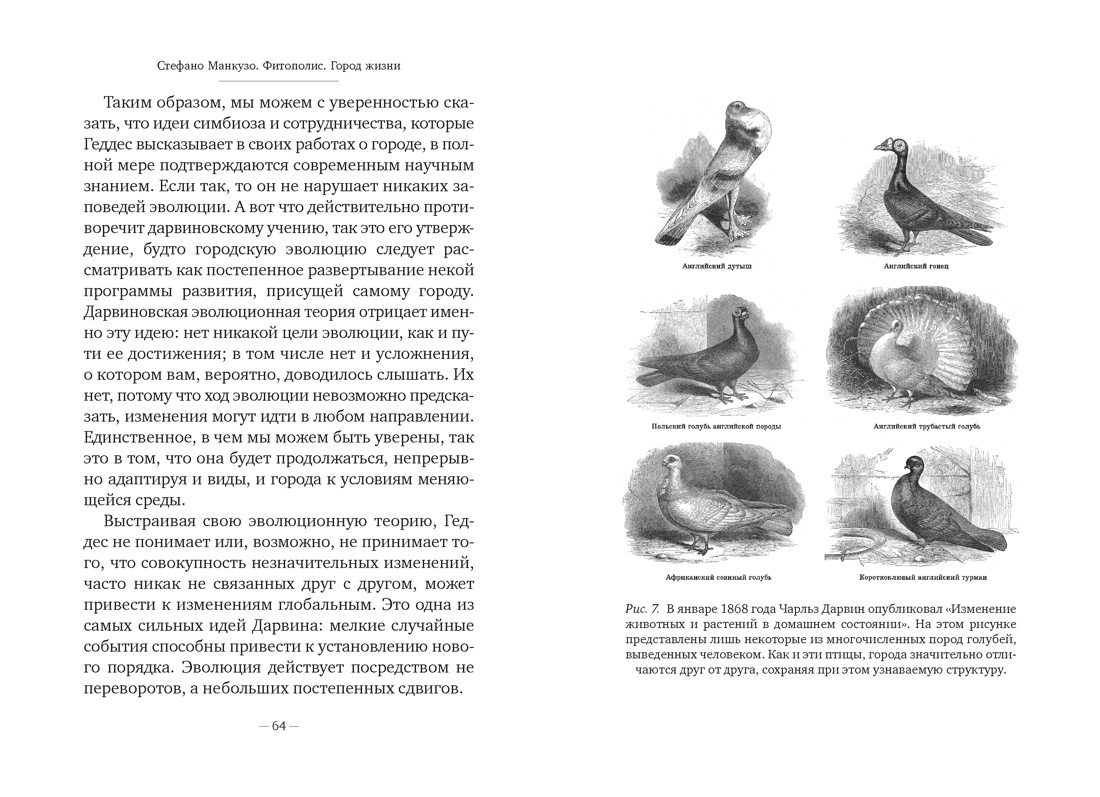 Фитополис. Город жизни, Отрывок из книги