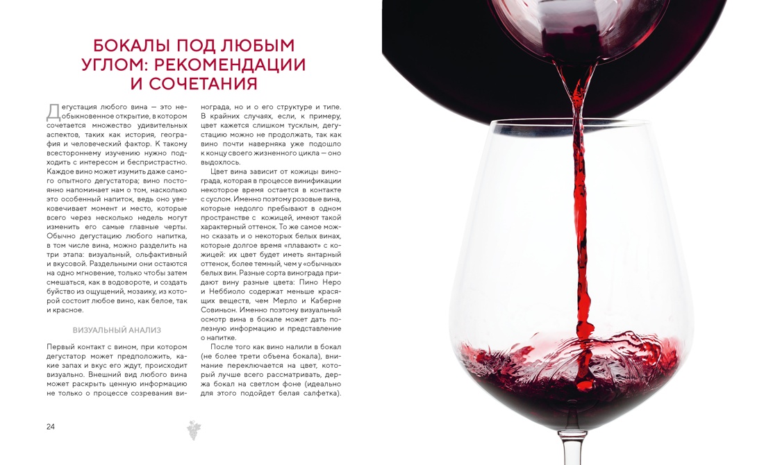 Магия вина. От солнечной грозди до вашего бокала, Отрывок из книги