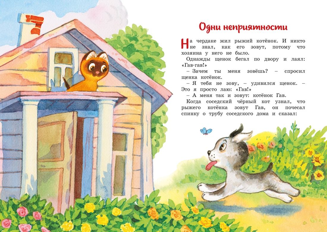 Котенок по имени Гав, Отрывок из книги
