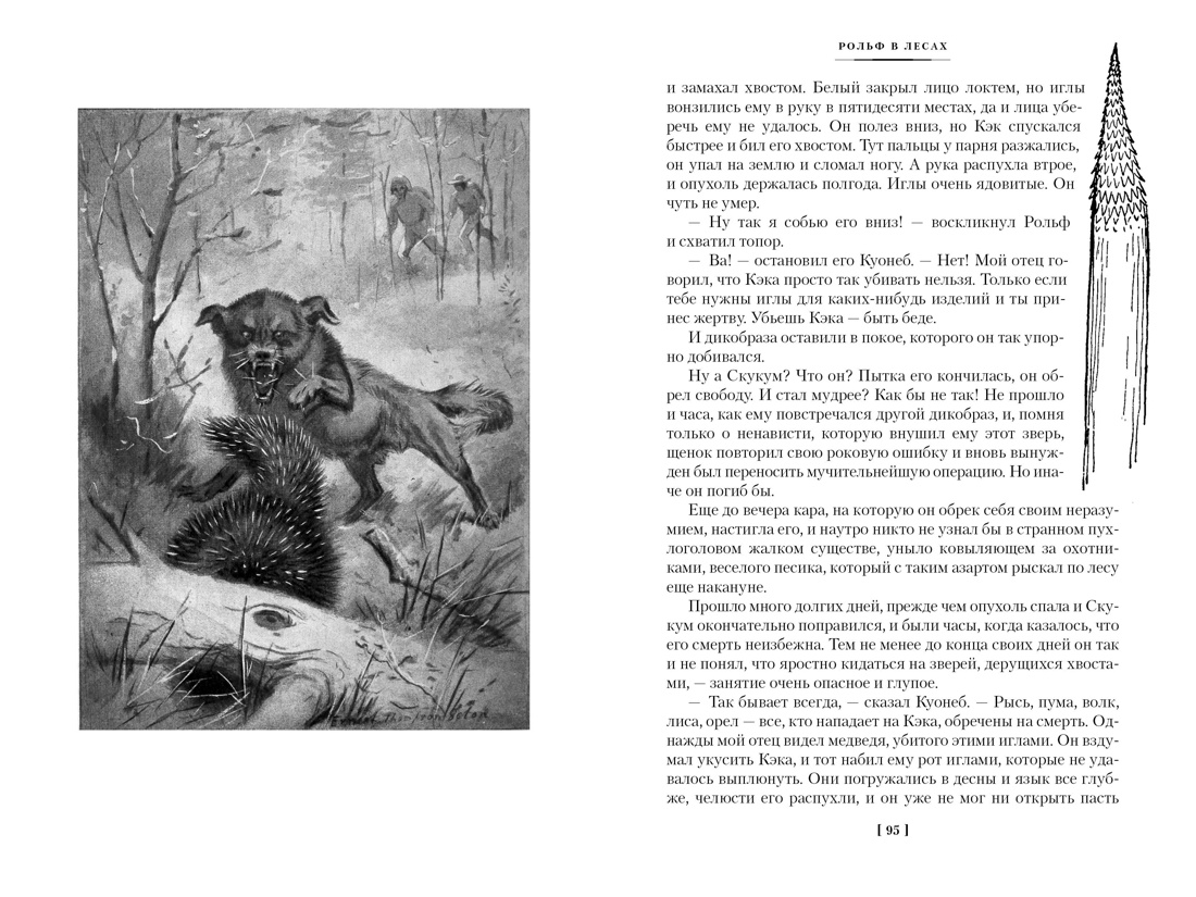 Рольф в лесах. Лесные рассказы, Отрывок из книги