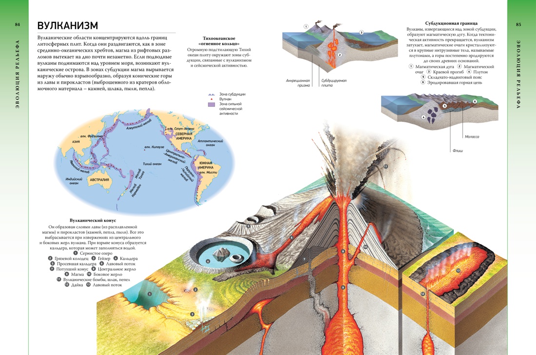 Всё о планете Земля и её обитателях. Визуальная энциклопедия, Отрывок из книги