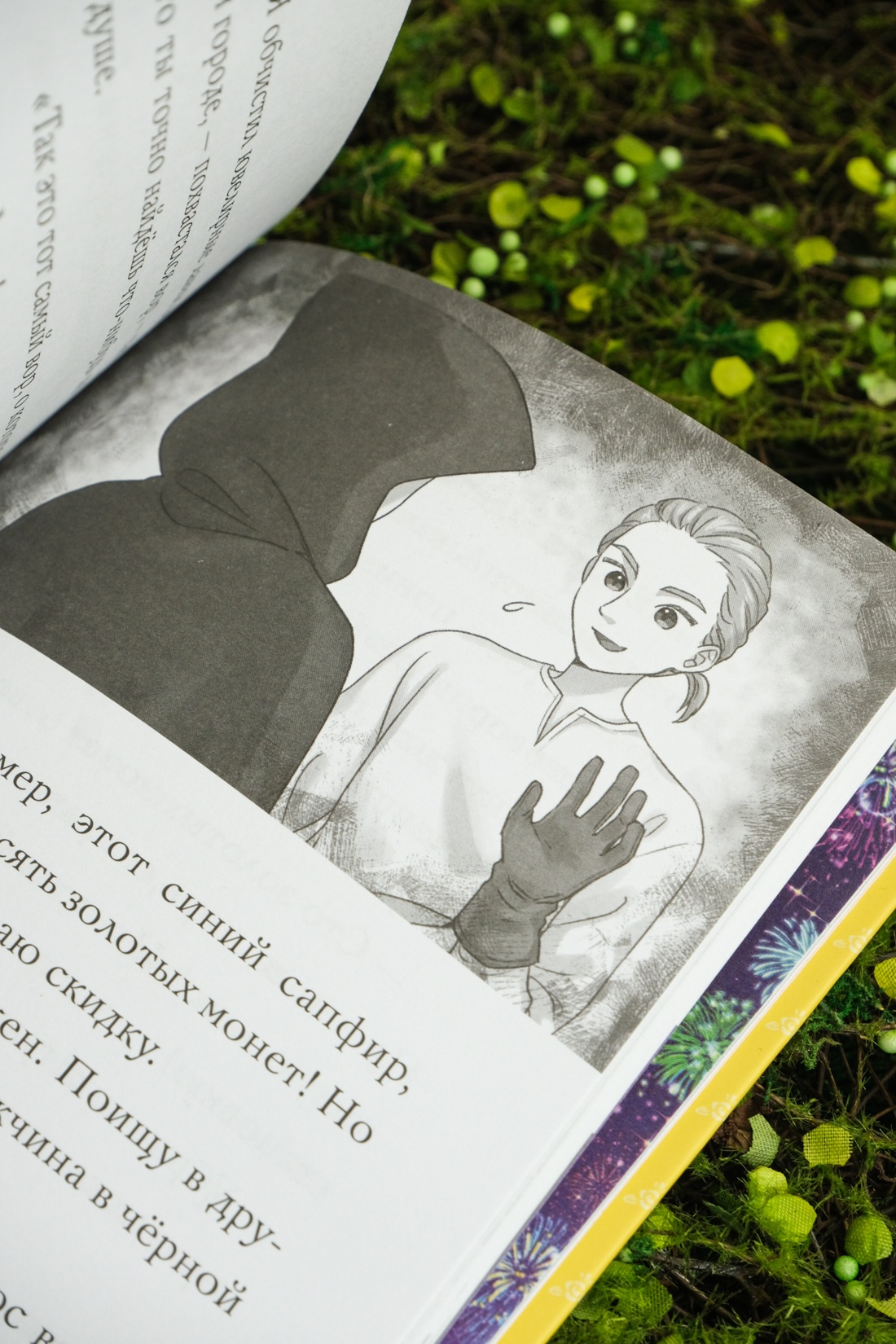 Апельсиновая кошка, Отрывок из книги