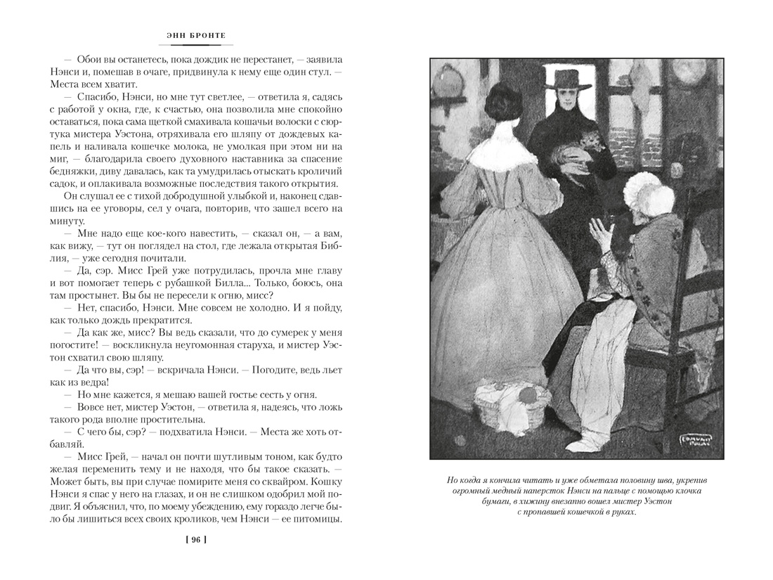 Агнес Грей. Незнакомка из Уайлдфелл-Холла. Стихотворения (с иллюстрациями), Отрывок из книги