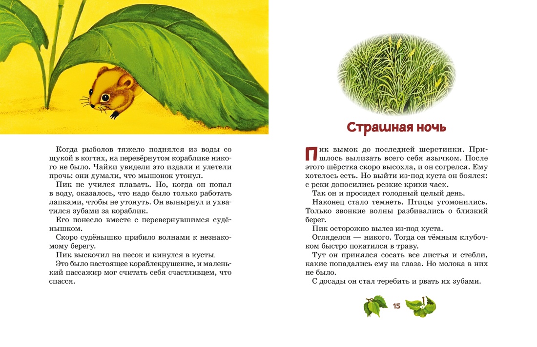 Мышонок Пик, Отрывок из книги
