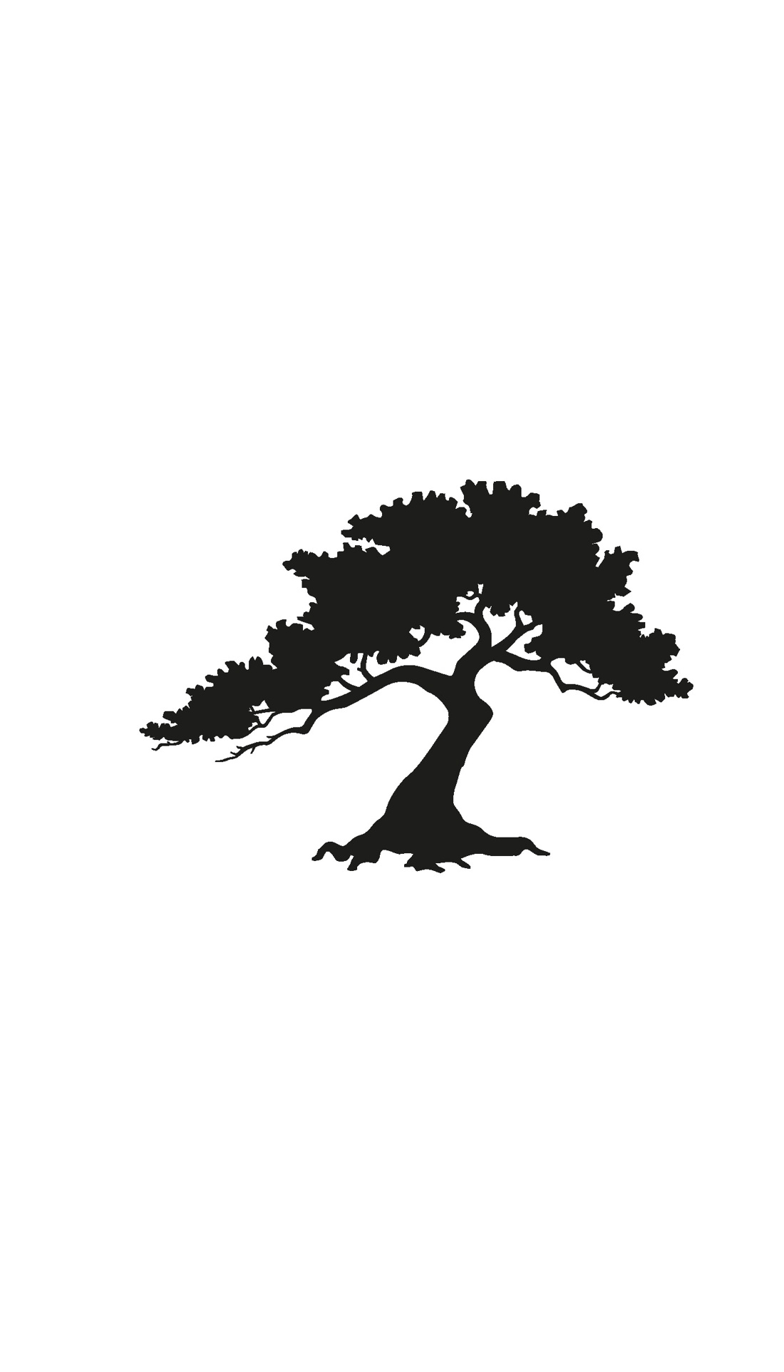 Икигай, Отрывок из книги