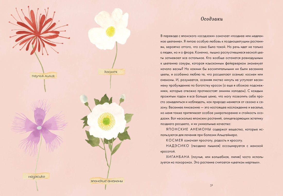 Сибуи. Японская мудрость времени, Отрывок из книги