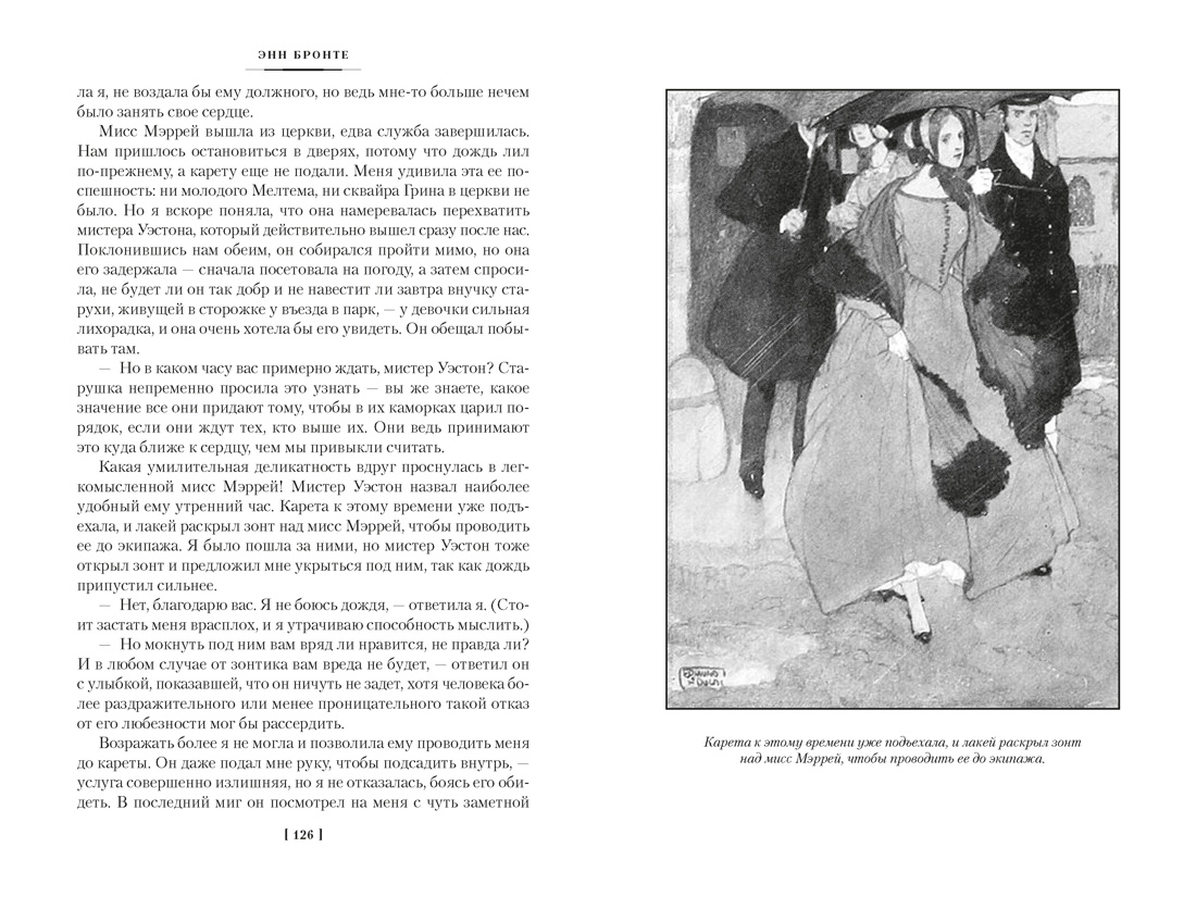 Агнес Грей. Незнакомка из Уайлдфелл-Холла. Стихотворения (с иллюстрациями), Отрывок из книги