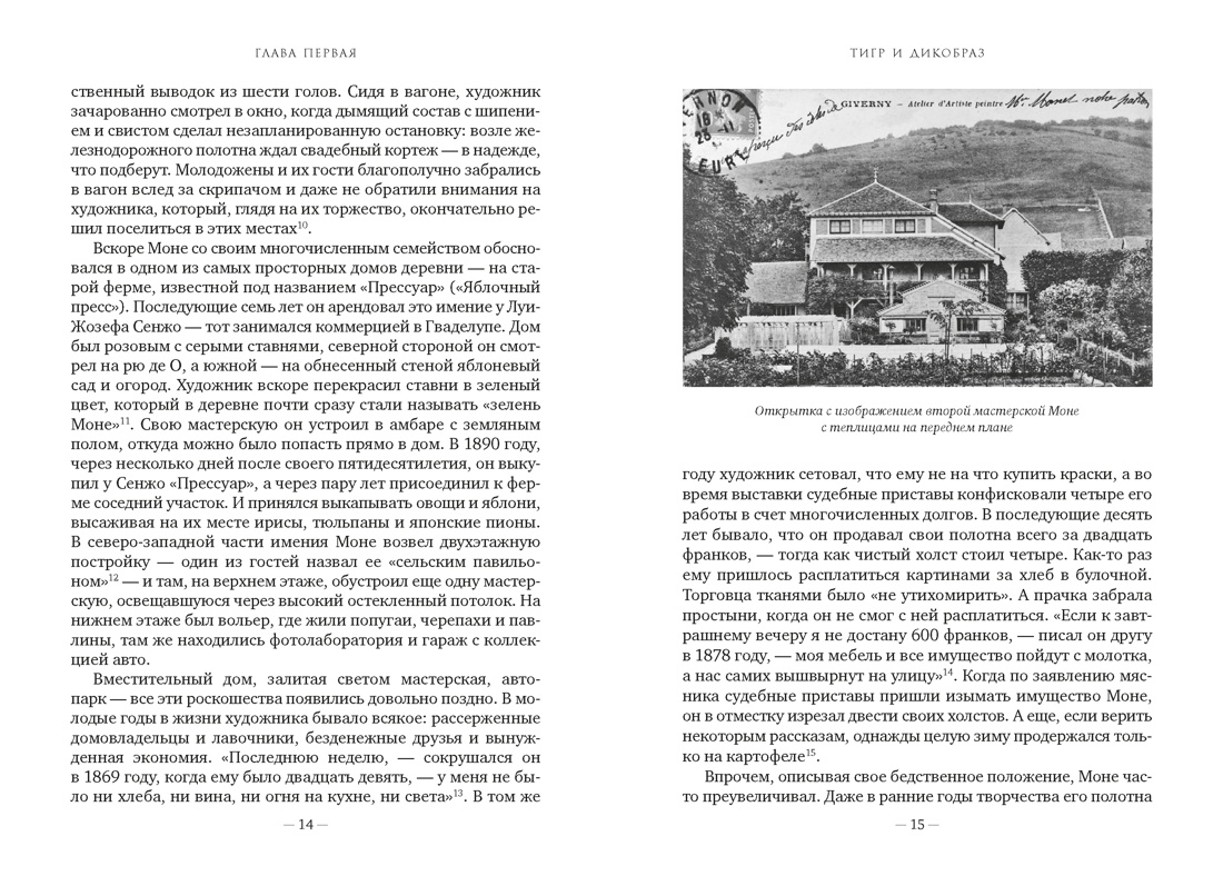 Чарующее безумие. Клод Моне и водяные лилии (Бестселлеры Non-Fiction), Отрывок из книги