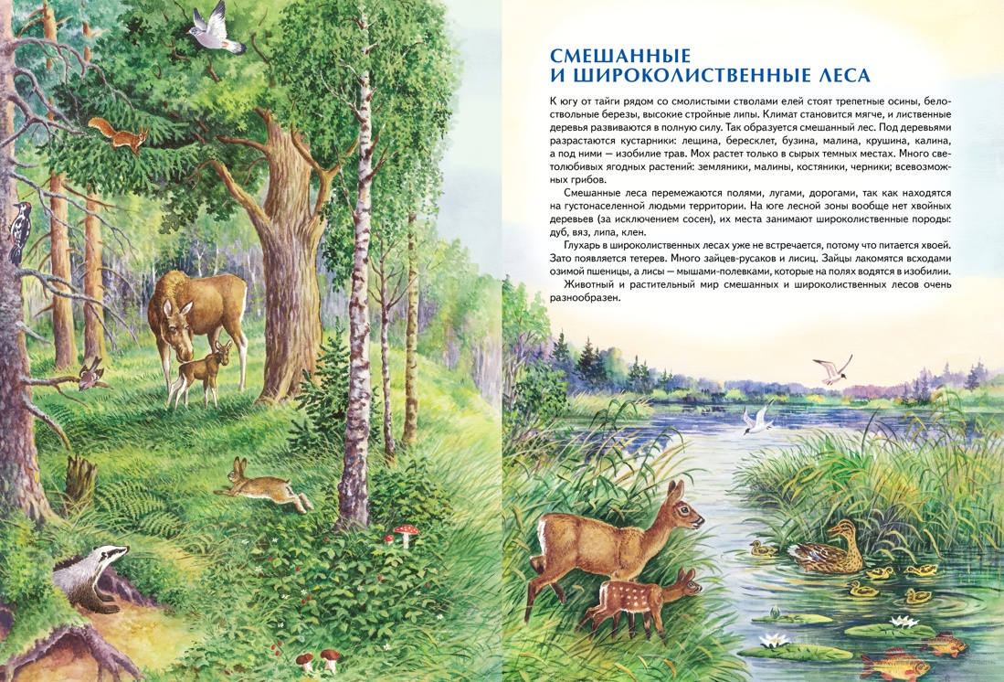 Природа России. Иллюстрированная энциклопедия, Отрывок из книги