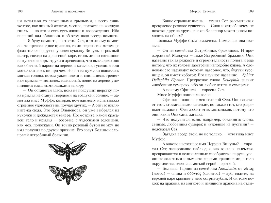 Ангелы и насекомые, Отрывок из книги