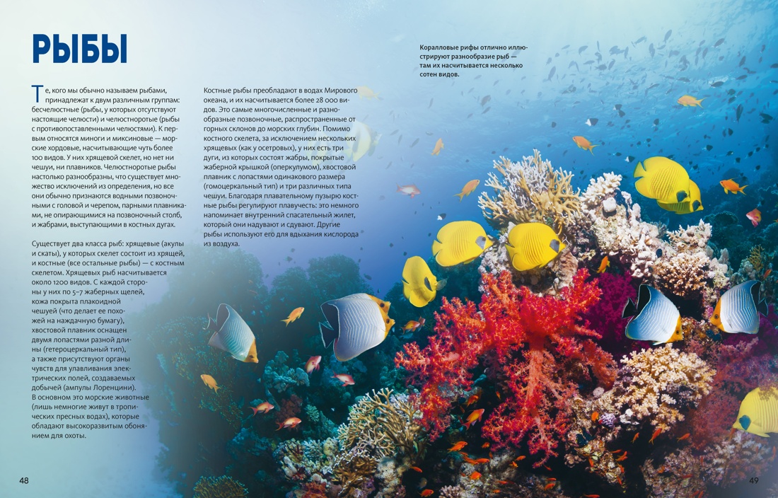 Огромная энциклопедия животных мира, Отрывок из книги