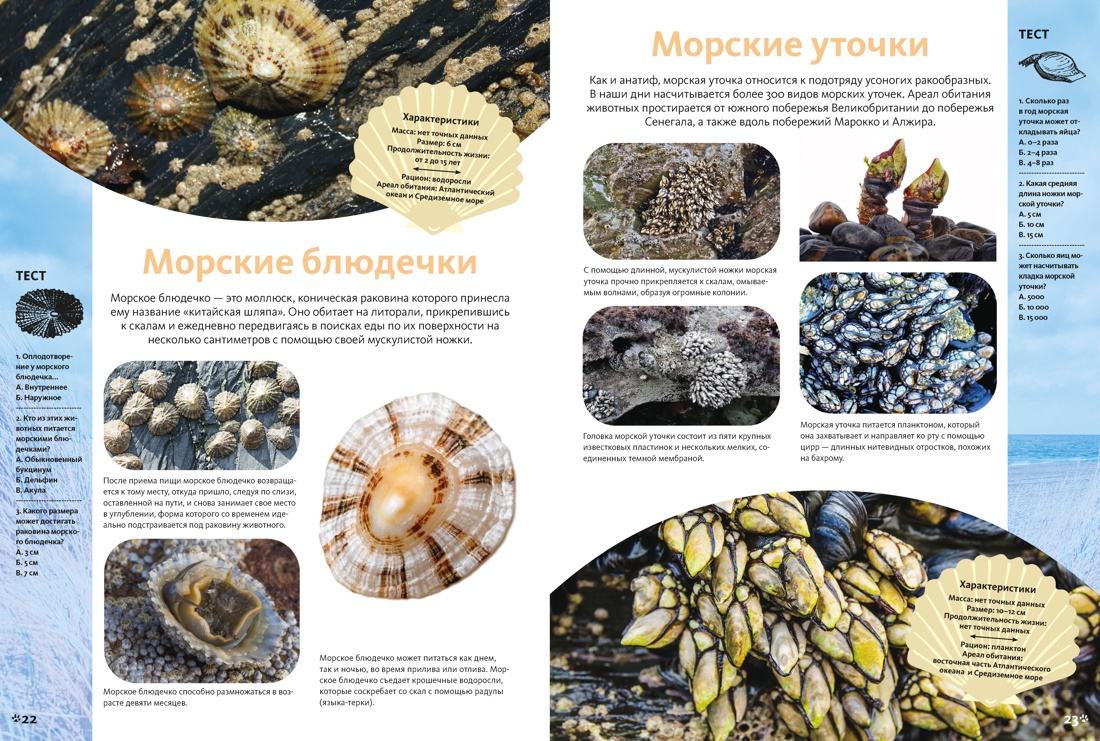 Животные морей и океанов. Большая школьная энциклопедия, Отрывок из книги