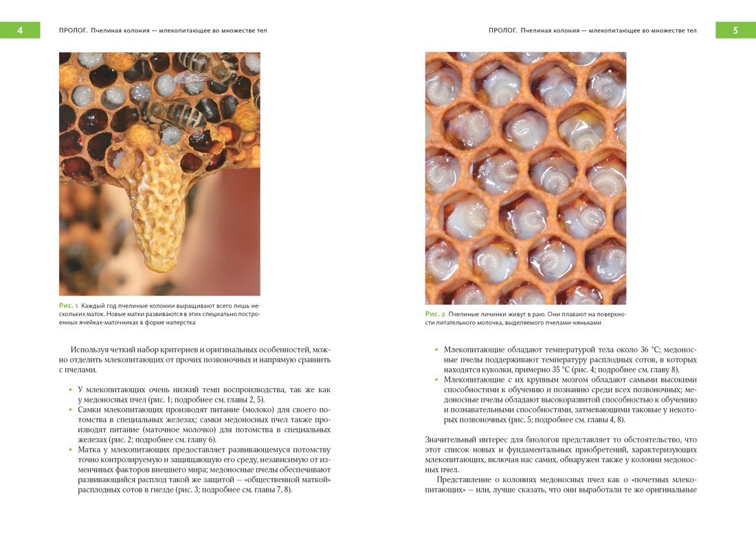 Феномен медоносной пчелы. Биология суперорганизма, Отрывок из книги