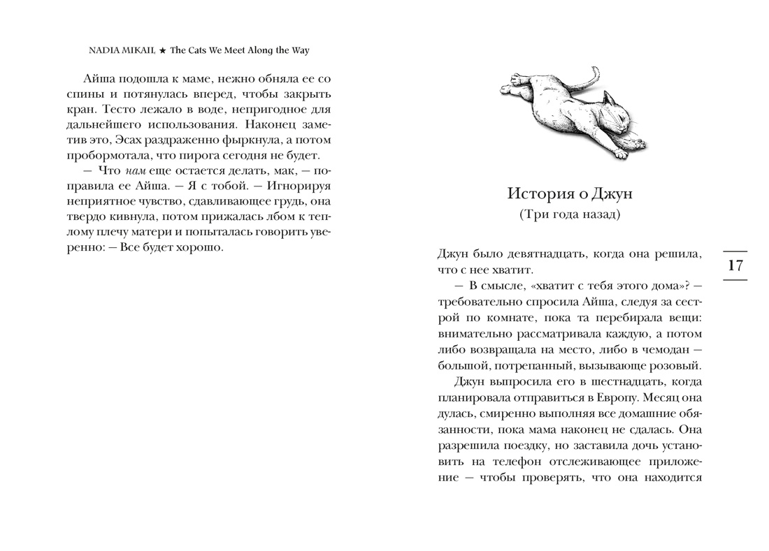 Выходя из дома, не забудьте кота, Отрывок из книги