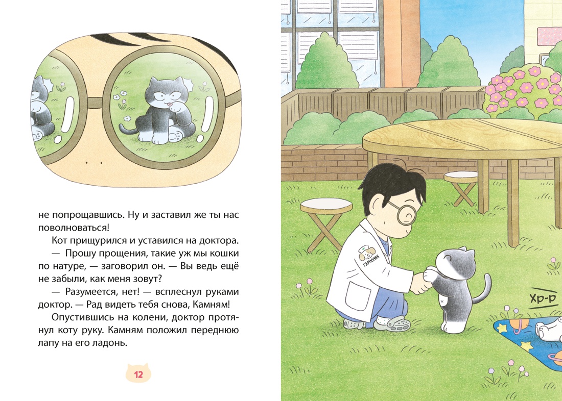 Доктор Камням, Отрывок из книги