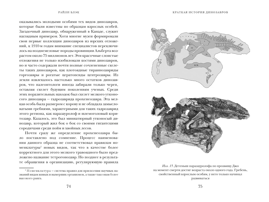 Перья, кровь и миллионы лет: Полная история динозавров, Отрывок из книги