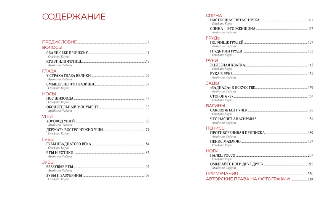 История искусства с головы до пят, Стефано Кауза