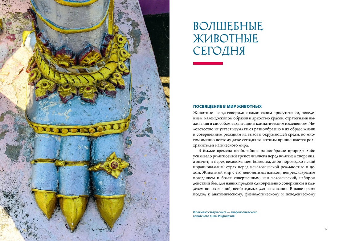 Фантастические твари и мифические существа. Комплект из 2-х книг в коробе, Отрывок из книги