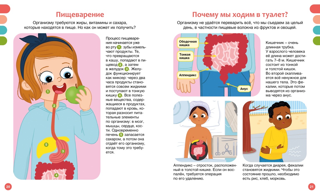 А Шланг L=мм (ГШ14) блокировки МОДа и на задние тормозные камеры