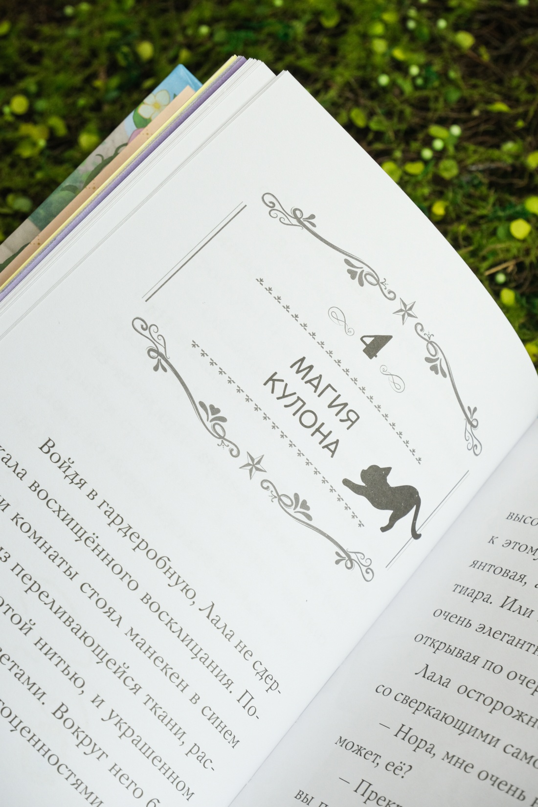 Апельсиновая кошка, Отрывок из книги