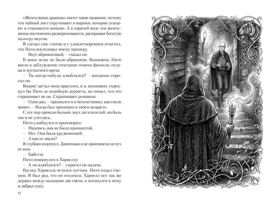 Маг Тигриного замка (с илл.), Отрывок из книги