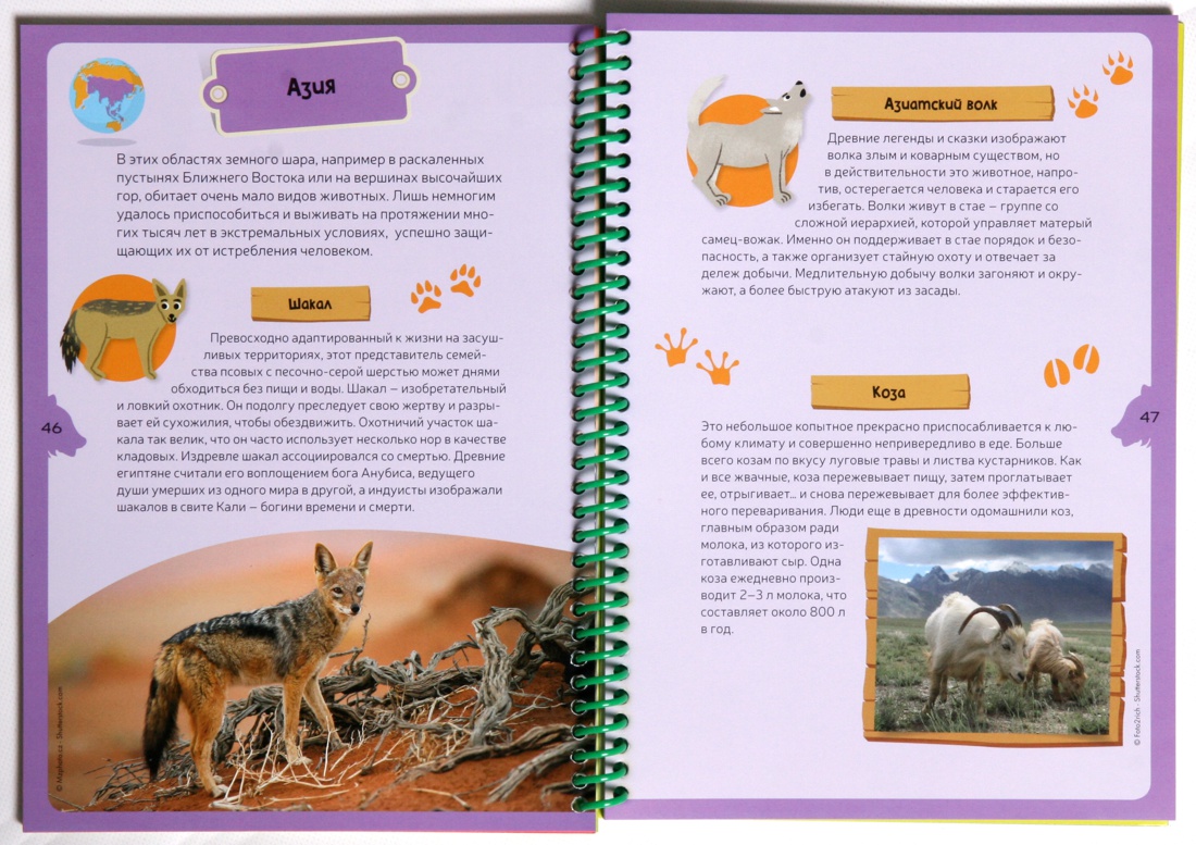 Животные планеты. Детская энциклопедия (в коробке), Отрывок из книги